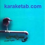 بی سرزمین