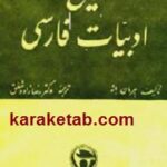 تاریخ ادبیات فارسی