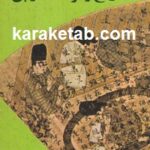 تاریخ و فرهنگ ژاپن