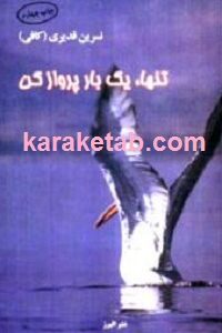 تنها یک بار پرواز کن