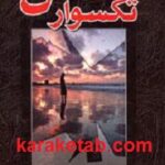 تکسوار عشق