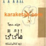 هائی تی