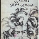 جزیره رویایی من