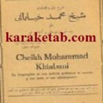 شرح حال و اقدامات شیخ محمد خیابانی