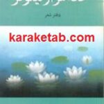 خانه هزار نیلوفر