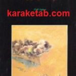 در فاصله ی آژیرها