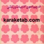در پیرامون ادبیات و زندگی