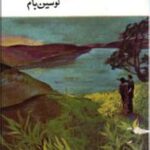دلبستگی و ناکامی