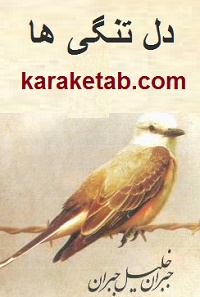 دلتنگی ها