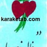 دو خال زیبا