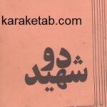 دو شهید