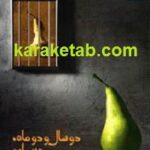 دو سال و دو ماه حبس ابد