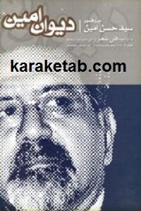 دیوان امین