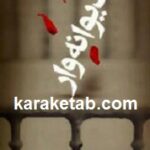 دیوانه وار
