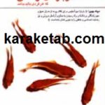 رازهایی در باره ی زندگی