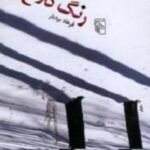 رنگ کلاغ