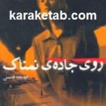 روی جاده ی نمناک