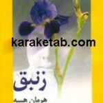 زنبق
