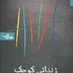 زندانی کوچک