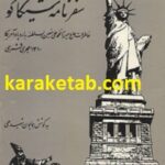 سفرنامه شیکاگو