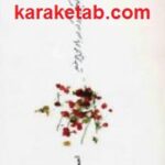 سکوت فرفره ی کوچکی بود که در باد می چرخید