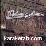 سکوت کاه گلی