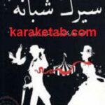 سیرک شبانه