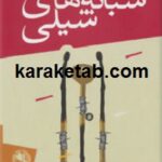 شبانه های شیلی