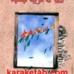 شما که غریبه نیستید