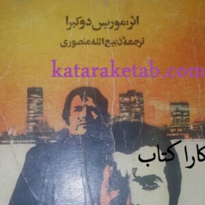 شهر وحشی