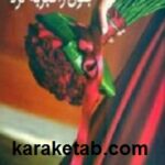 عاشقی که جنون را تجربه کرد