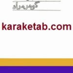 کتاب عاقبت قلم فرسایی