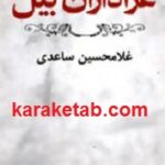 عزاداران بیل