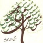 عشق راهی می یابد