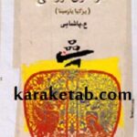 فراسوی فرزانگی