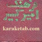 فرهنگ امیر کبیر