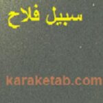 سبیل فلاح