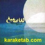 لغات میغ