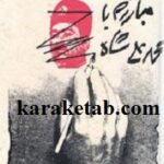 مبارزه با محمدعلی شاه