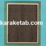 کتاب مرغ دریایی