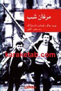 مرغان شب