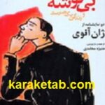 مسافر بی توشه