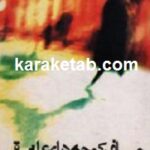 مسافر کوچه های عاشقی