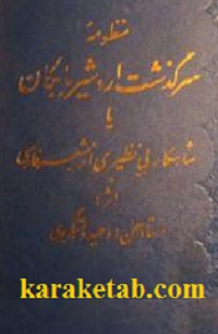 منظومه-سرگذشت-اردشير-بابكان-.jpg
