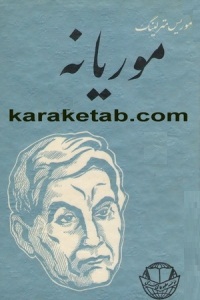 موریانه