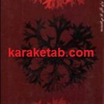 می مانم ولی