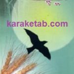 میچکا