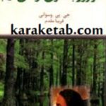 هر روزبه سوی تو می آیم