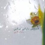 همنفس بارانی نرگس