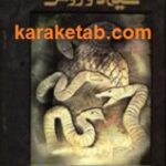 هموندان تاریک و روشن